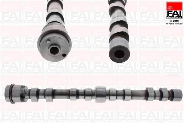 Camshaft C391