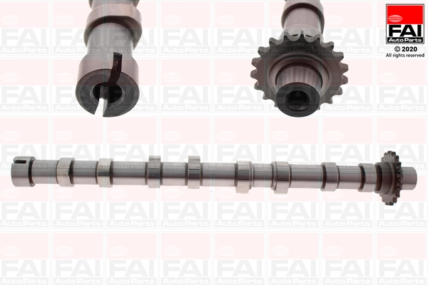 Camshaft C420