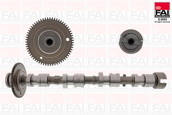 Camshaft C529