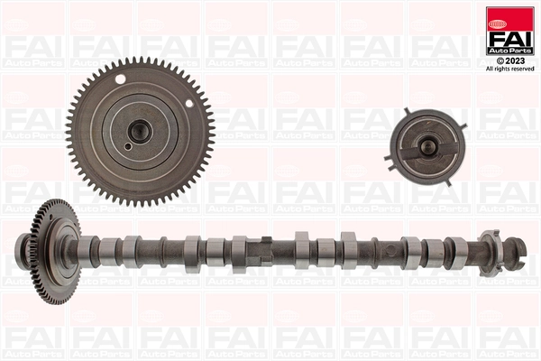Camshaft C528