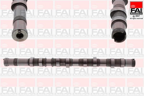 Camshaft C371