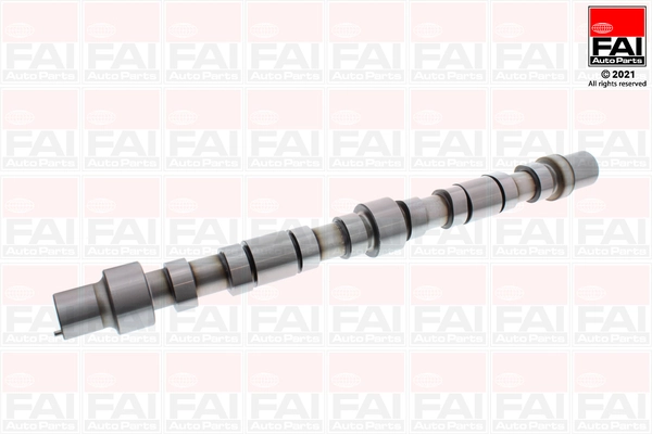 Camshaft C383