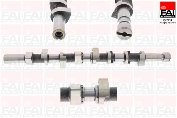 Camshaft C304