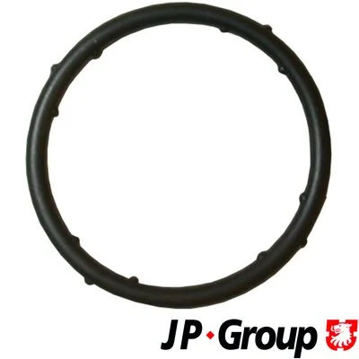 Gasket, coolant flange JP 1119606300