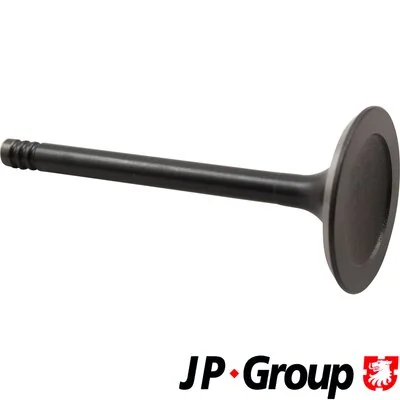 Intake Valve JP 1111303500