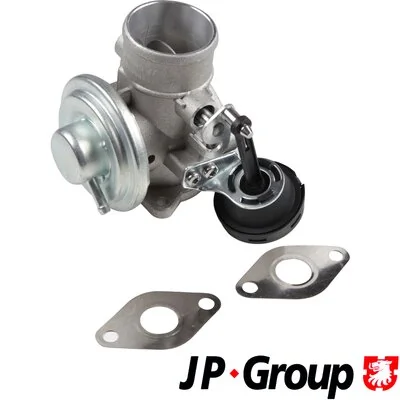 EGR Valve JP 1119903800