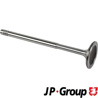 Intake Valve JP 1111301100