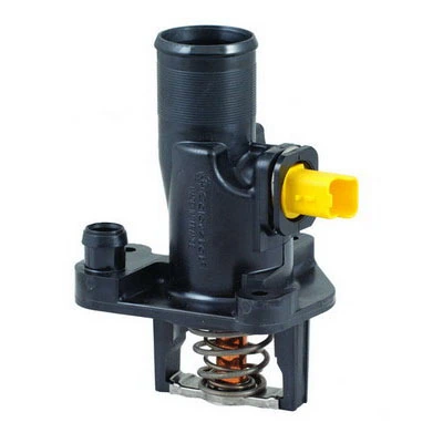 Thermostat, coolant 94.717