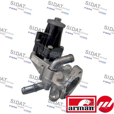 EGR Valve ARMAN 83.994AS