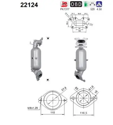 Catalytic Converter 22124
