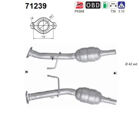 Catalytic Converter 71239