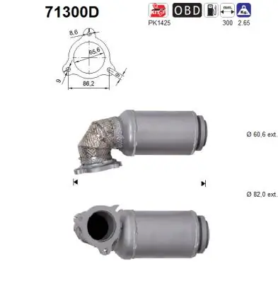 Catalytic Converter 71300D