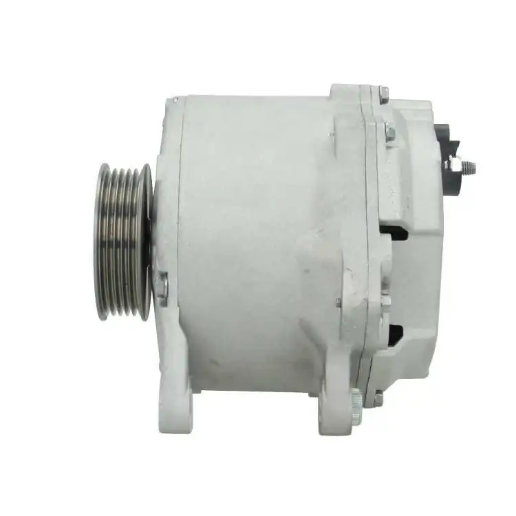 BV PSH 205.448.190.080 Alternator