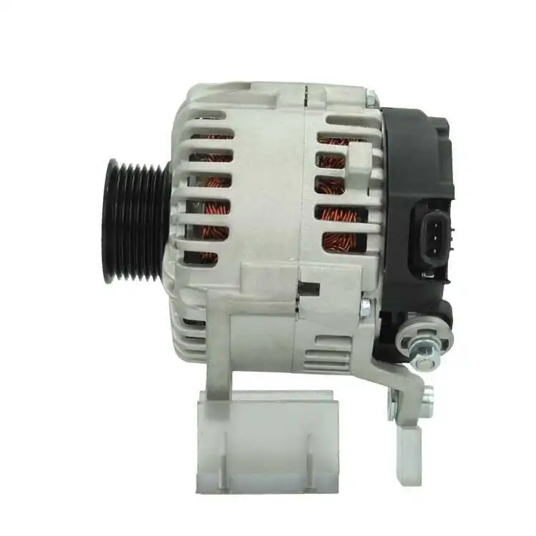 BV PSH 165.596.130.000 Alternator