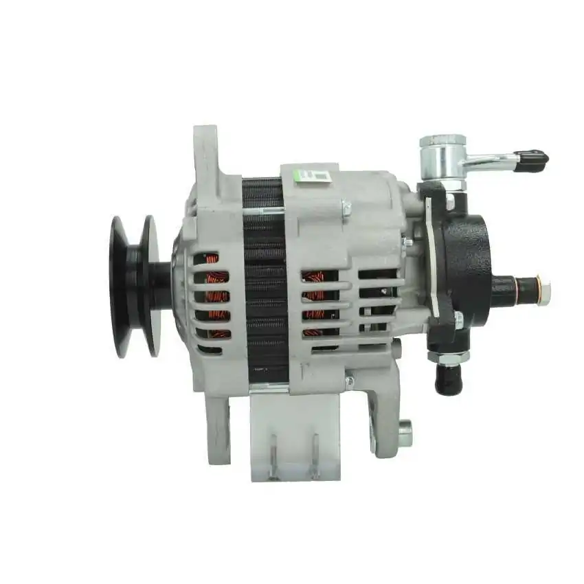 BV PSH 135.606.060.080 Alternator