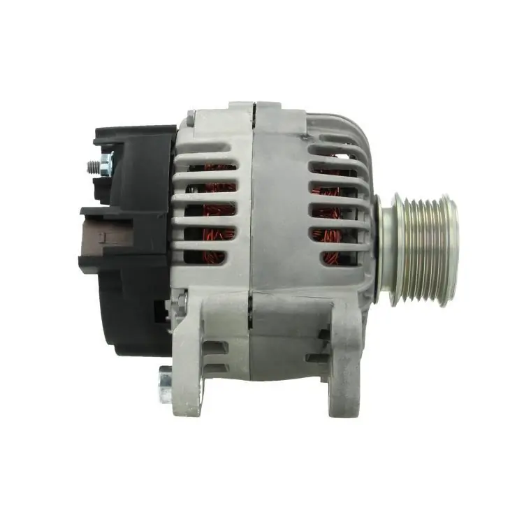 BV PSH 305.539.110.000 Alternator