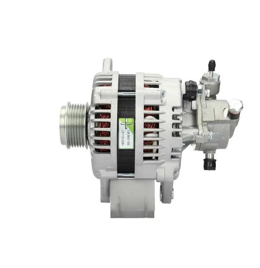 BV PSH 135.603.100.080 Alternator