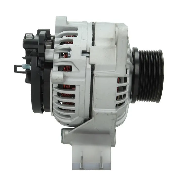 BV PSH 556.502.100.010 Alternator