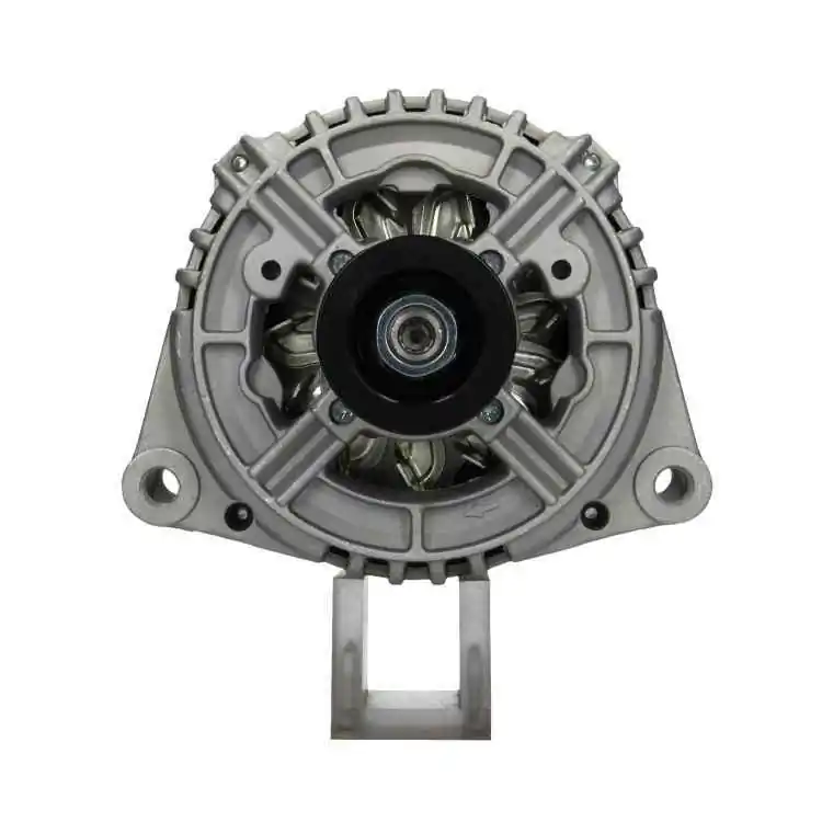 Alternator +Line Original 555.526.150.010