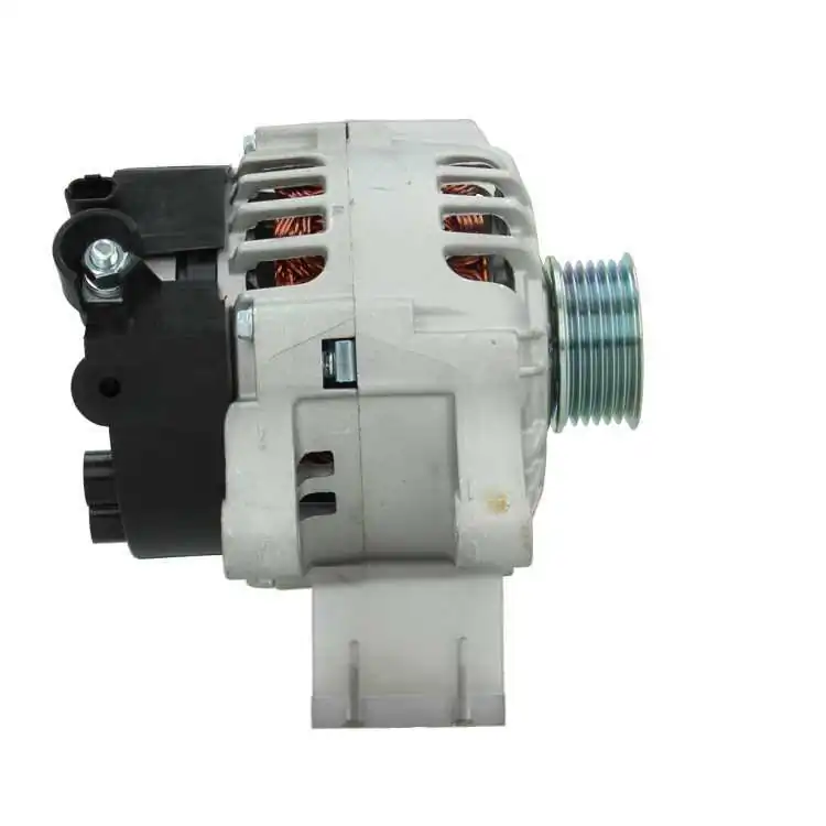 BV PSH 225.520.080.000 Alternator