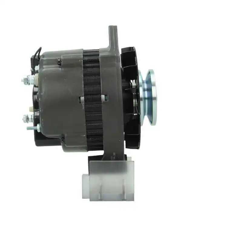 Alternator +Line Original 975.001.065.200