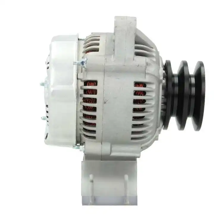 BV PSH 195.968.060.050 Alternator