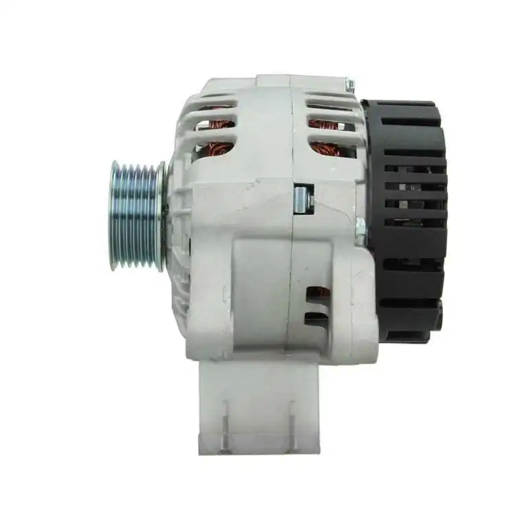 BV PSH 225.520.080.000 Alternator