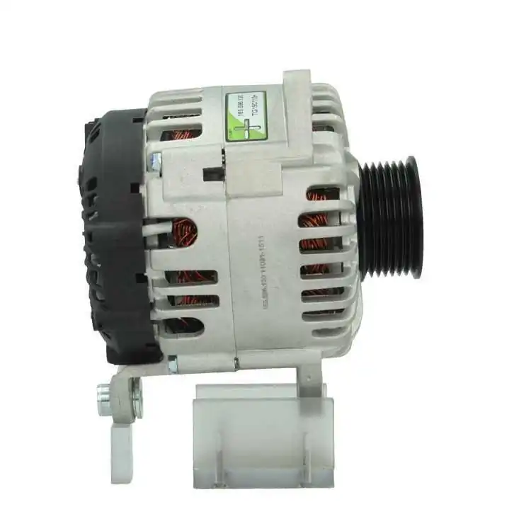 BV PSH 165.596.130.000 Alternator