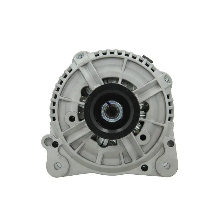 Alternator +Line Original 305.507.120.010