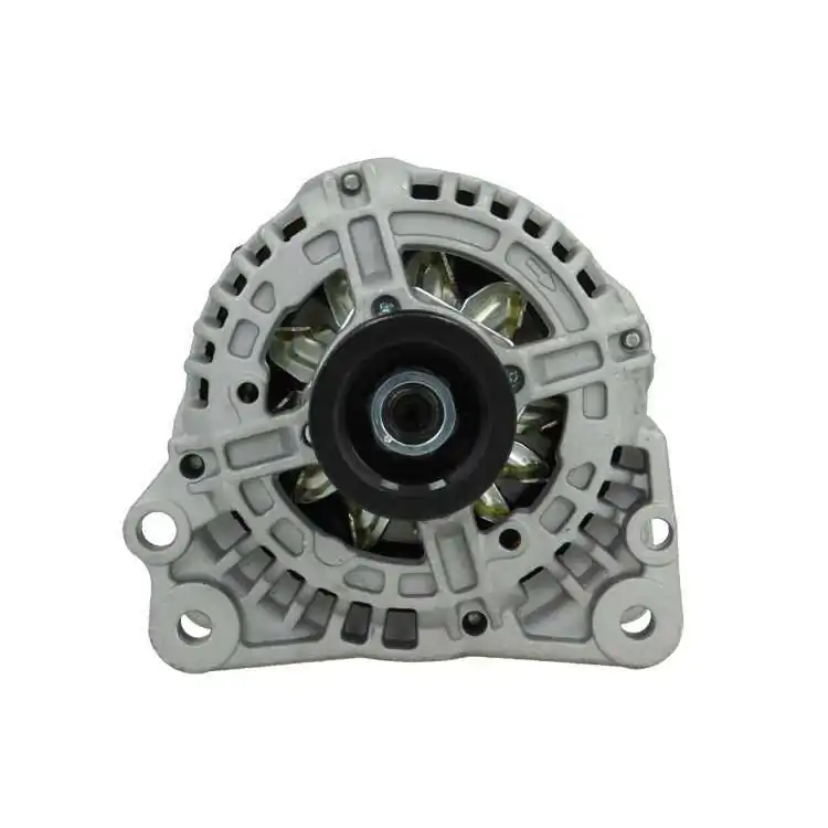 Alternator +Line Original 305.513.090.010
