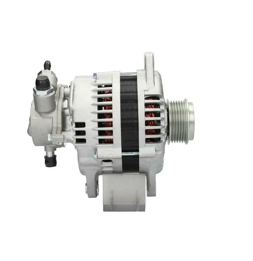 BV PSH 135.603.100.080 Alternator