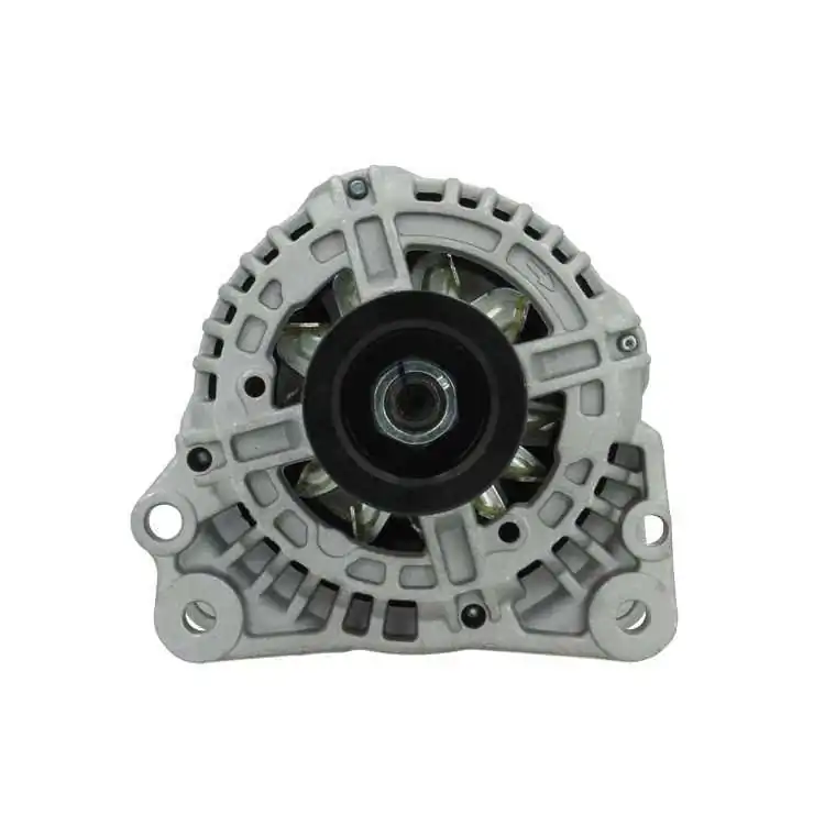 Alternator +Line Original 305.542.110.010