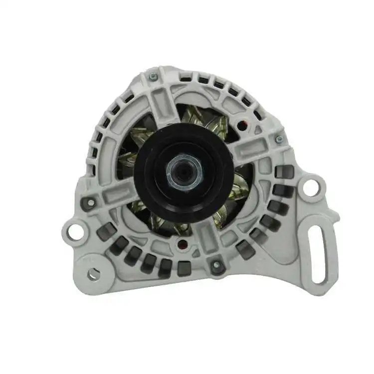 Alternator +Line Original 305.546.070.010