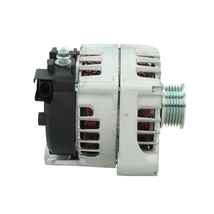 Generator OE Regulator (+Line Pro) 215.538.180.004