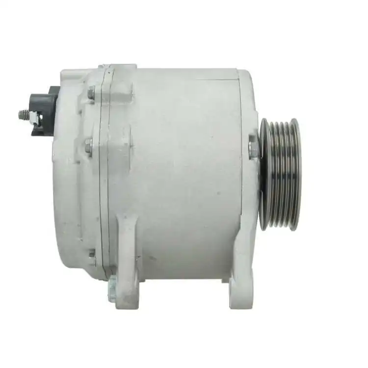 BV PSH 205.448.190.080 Alternator