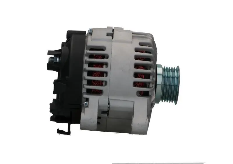 BV PSH 225.540.150.000 Alternator
