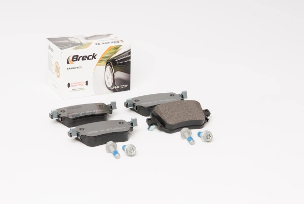 Brake Pad Set, disc brake 25110 00 704 10