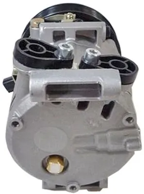 Kompressor, Klimaanlage BEHR ACP 1329 000S