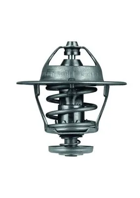 Thermostat, coolant BEHR TX 53 85D