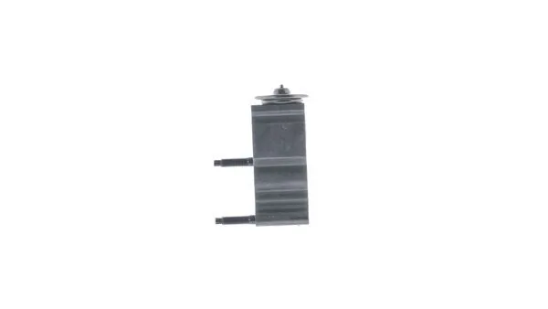 MAHLE AVE 162 000P Expansion Valve, air conditioning