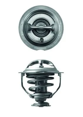 Thermostat, coolant BEHR TX 117 95D