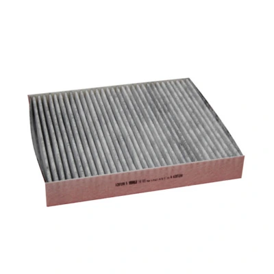 Filter, udara interior LAK 809