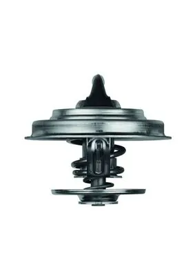 Thermostat, coolant BEHR TX 18 87D