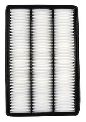 Air Filter LX 2885