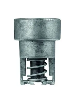 Thermostat, coolant BEHR TX 98 82