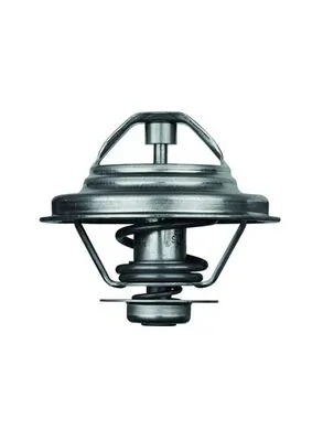 Thermostat, coolant BEHR TX 24 80D