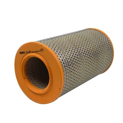 Air Filter LX 611