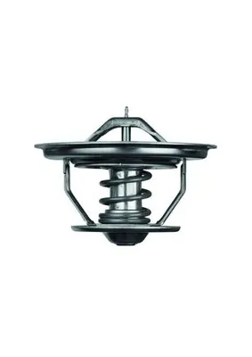 Thermostat, coolant BEHR TX 35 79