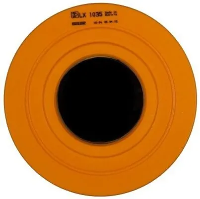 Air Filter LX 1035