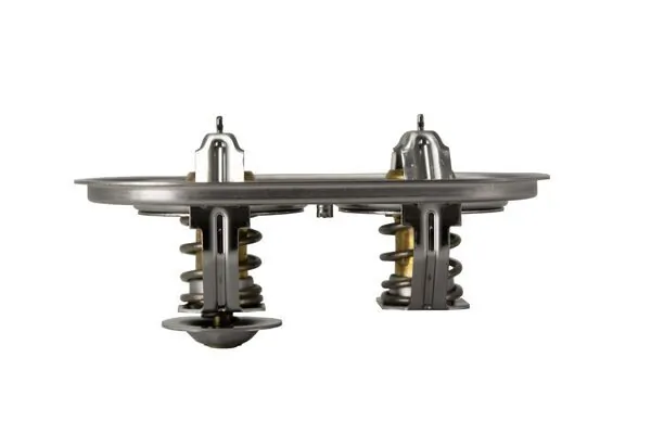 Thermostat, coolant BEHR TX 105